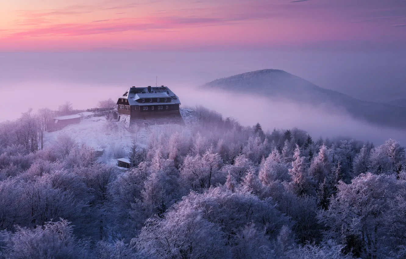Фото обои зима, иней, снег, закат, вид, Martin Rak