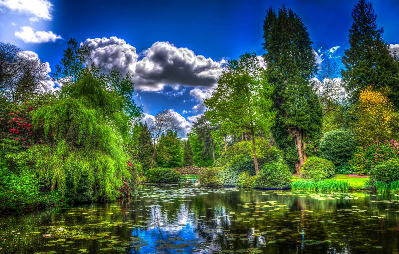 Фото обои трава, облака, деревья, пруд, парк, Англия, обработка, сад