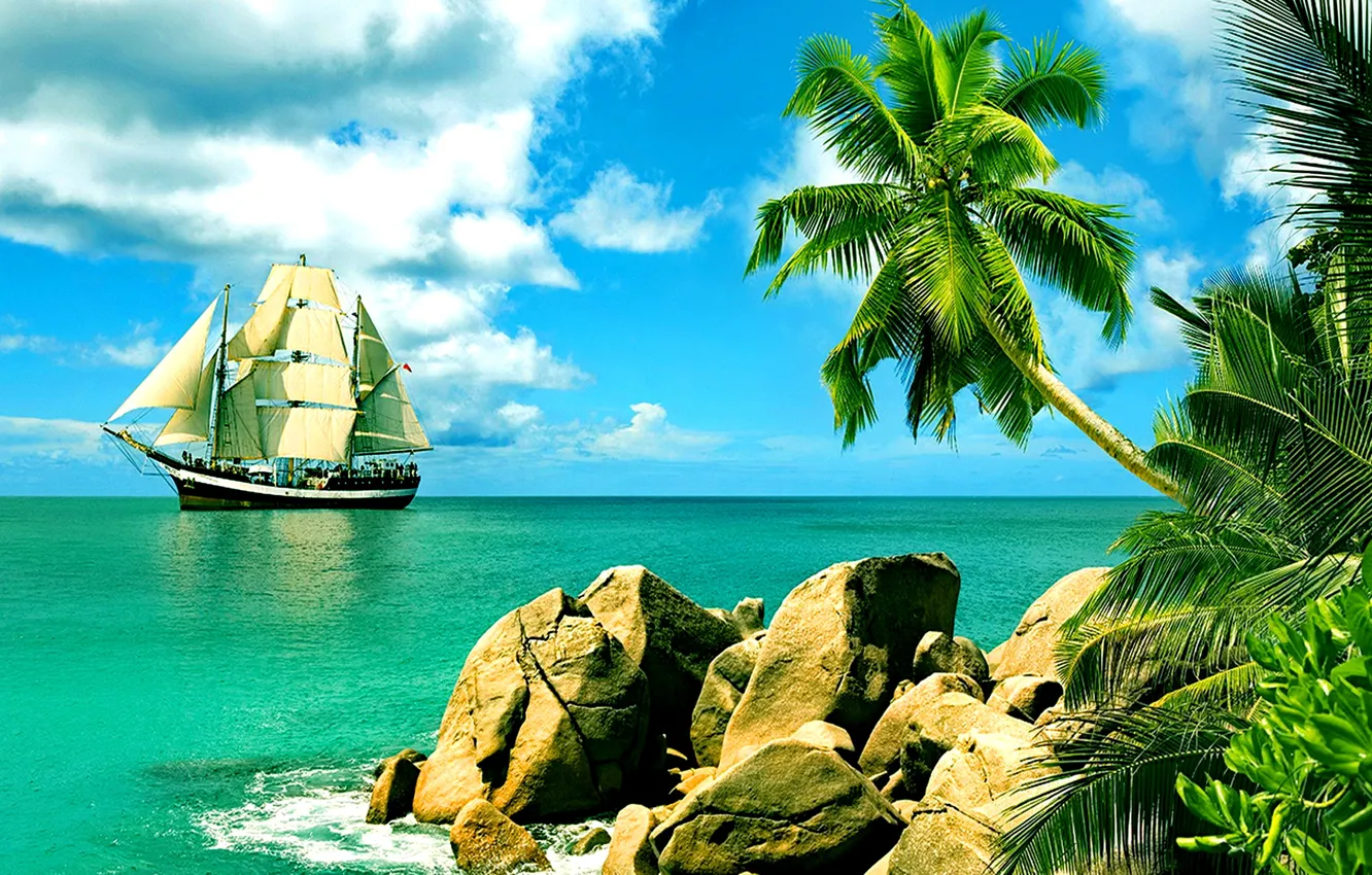 Фото обои пальмы, океан, берег, парусник