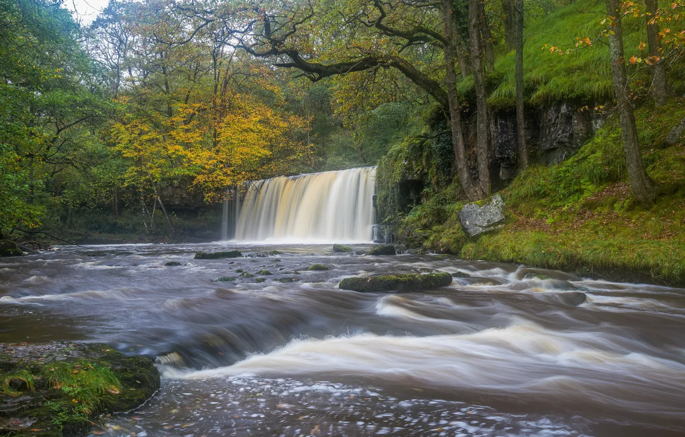 Фото обои лес, деревья, река, Англия, водопад, England, Уэльс, Wales