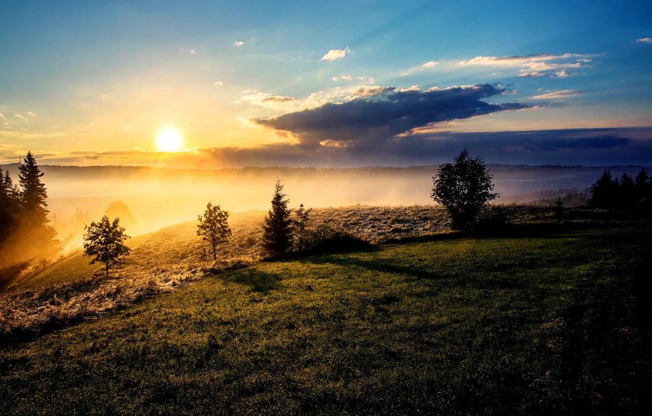 Фото обои солнце, облака, деревья, туман, утро, склон