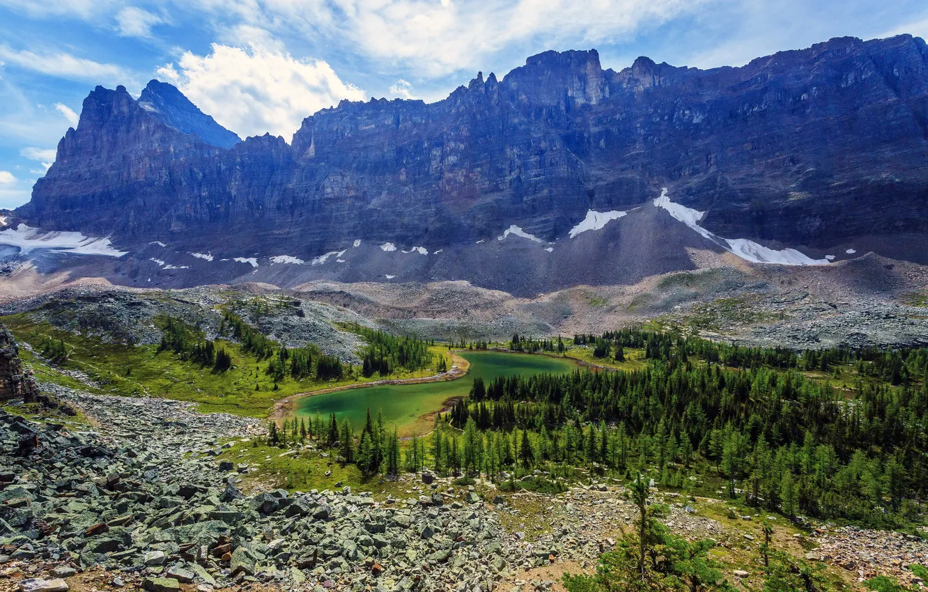 Фото обои деревья, горы, озеро, камни, скалы, Канада, Yoho National Park
