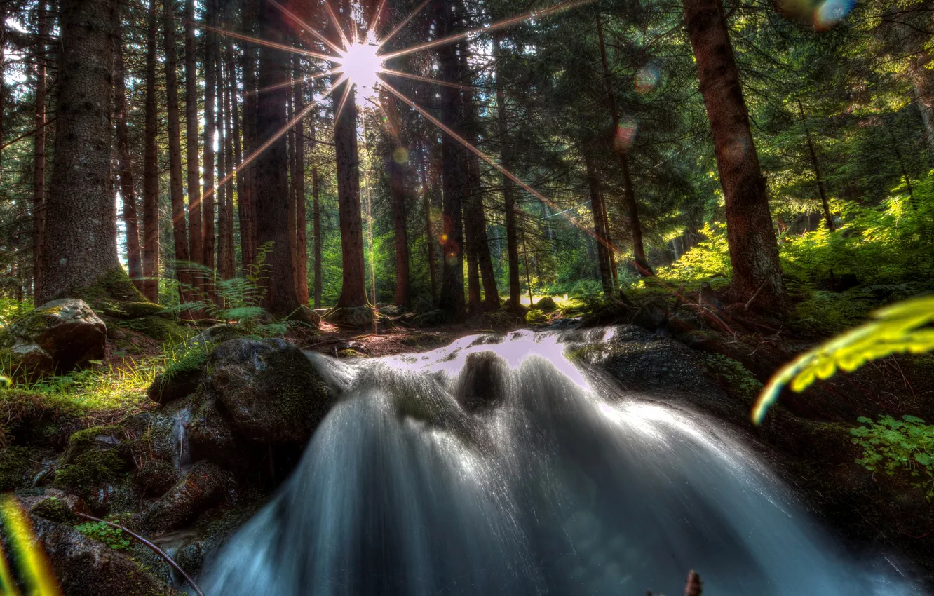 Фото обои лес, деревья, камни, водопад, лучи солнца