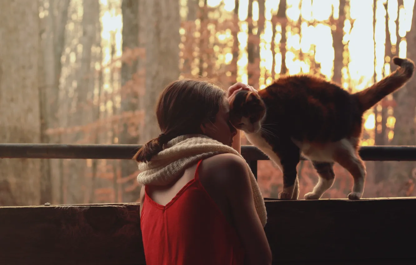 Фото обои кошка, девушка, солнце, деревья, красный, природа, фон, обои
