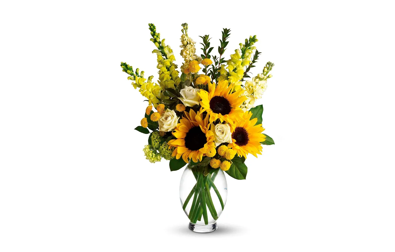 Фото обои подсолнухи, цветы, розы, букет, желтые, белый фон, ваза, львиный зев