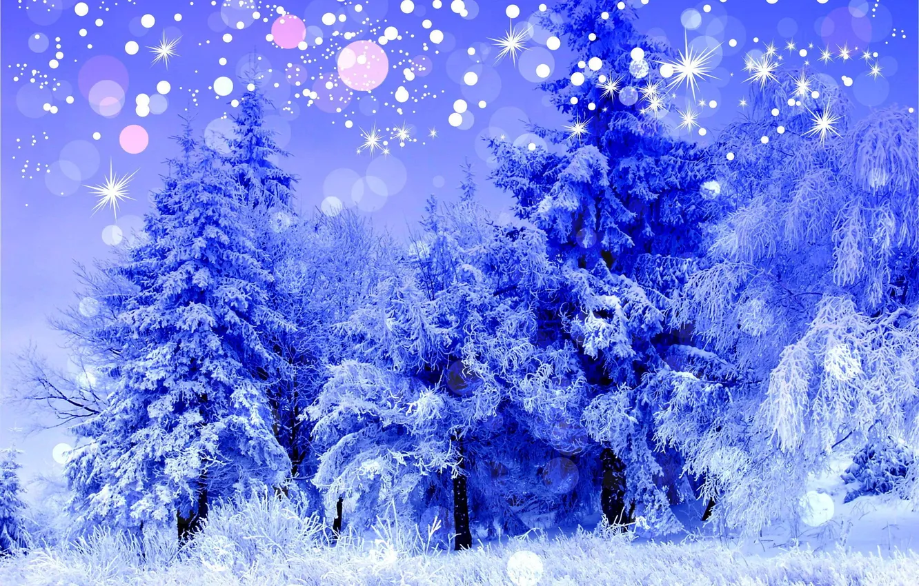 Фото обои холод, зима, лес, снег, деревья, пейзаж, синий, природа