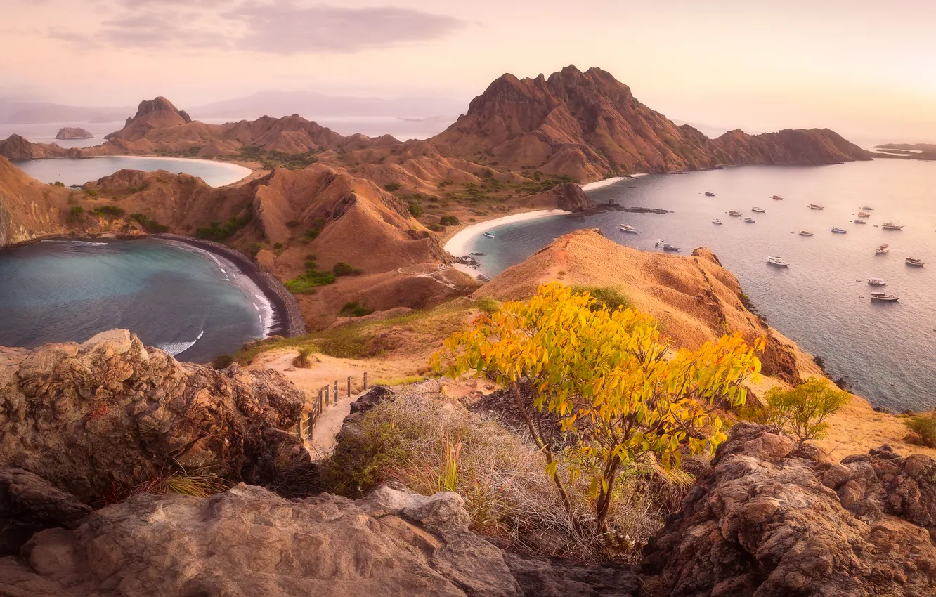 Фото обои coast, rocks, boats, plants