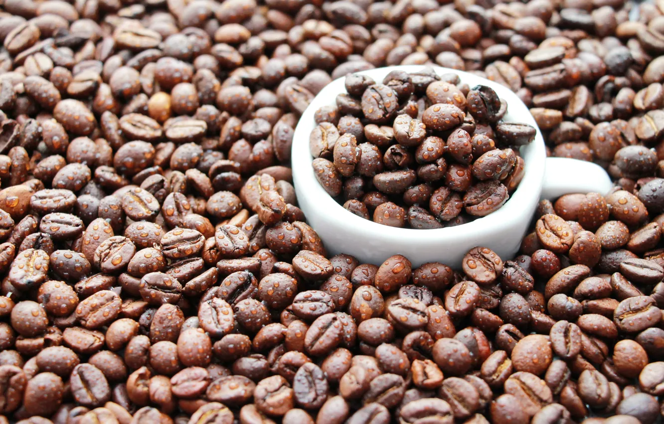 Фото обои настроение, кофе, зерна, кружка, капли воды, coffe, coffe time, Кофе в зернах