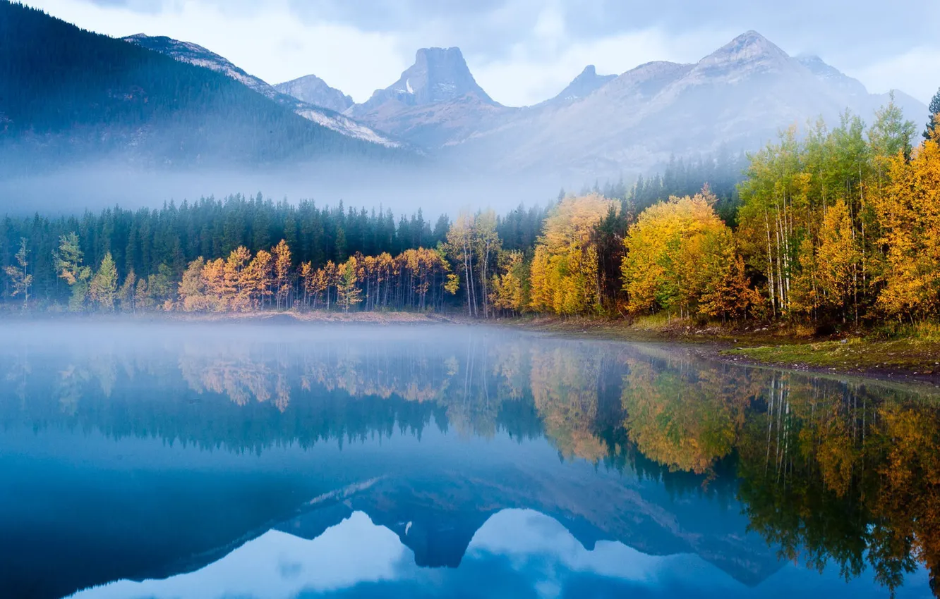 Фото обои forest, nature, mountains, lake