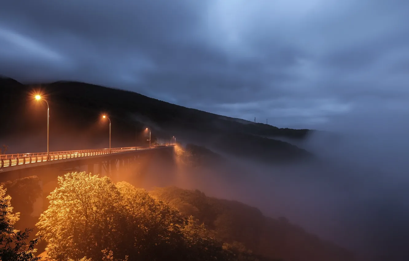 Фото обои ночь, мост, туман