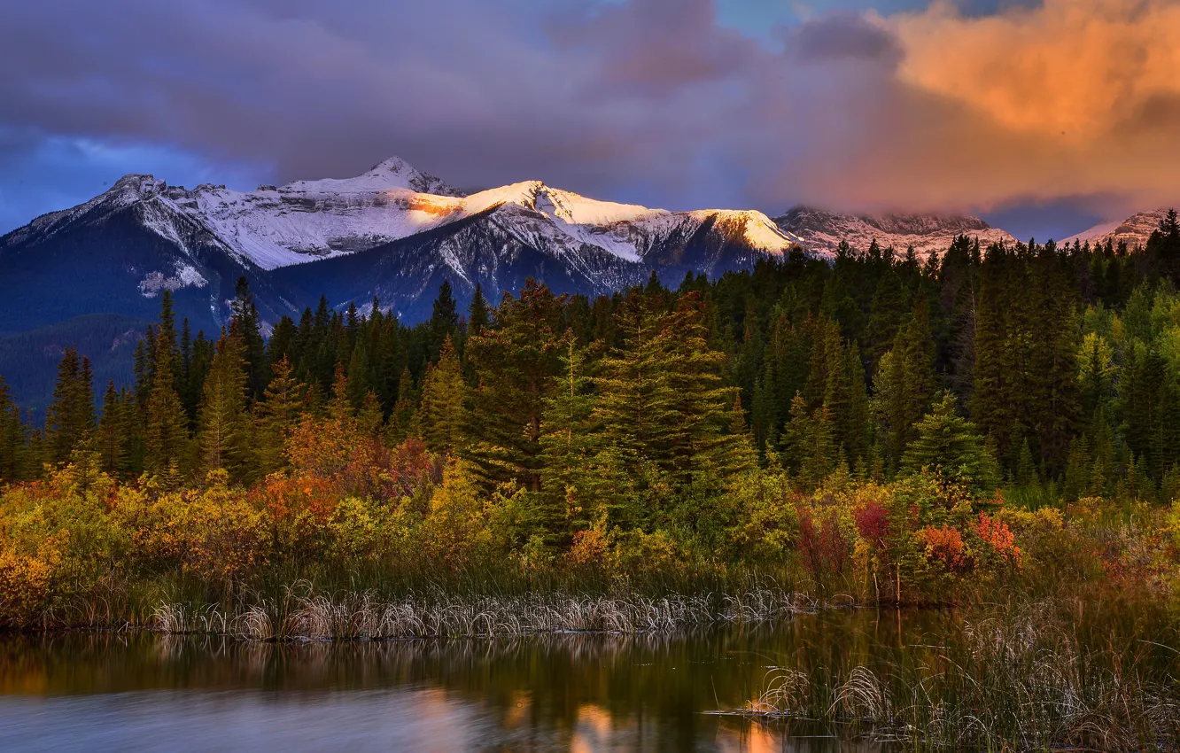 Фото обои осень, лес, горы, берег, водоем