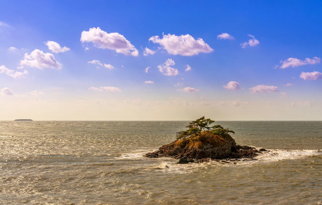 Фото обои море, деревья, природа, скала, остров