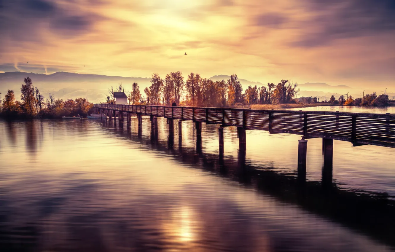 Фото обои река, берег, Crossing the bridge