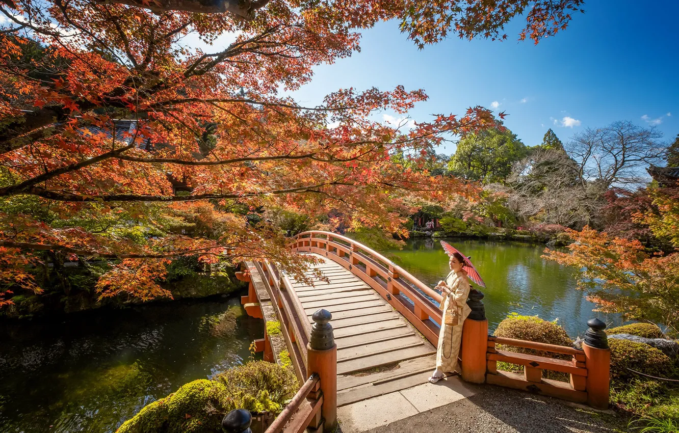 Фото обои осень, девушка, парк, зонт, Япония, мостик