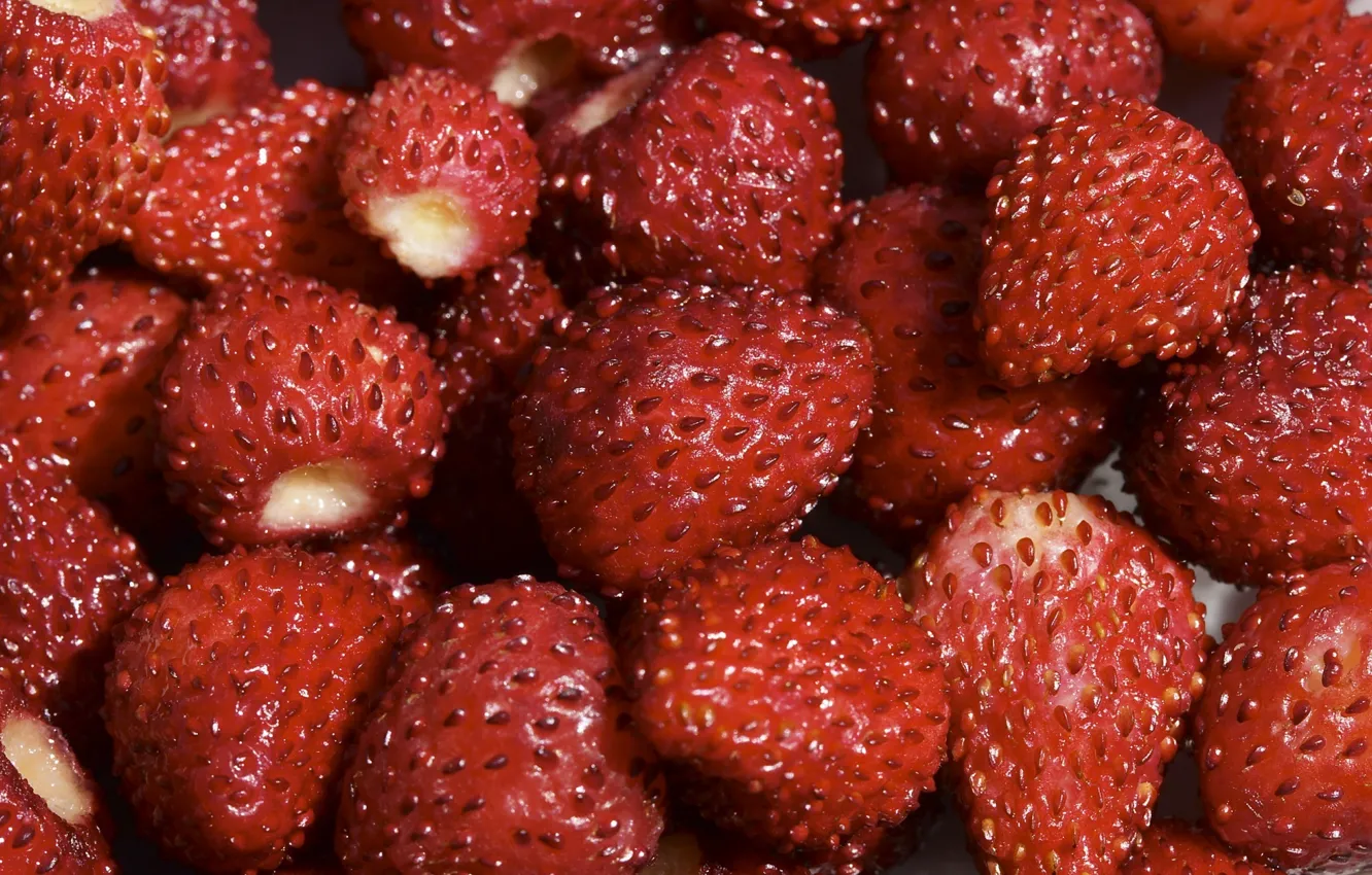Фото обои красный, ягоды, Клубника