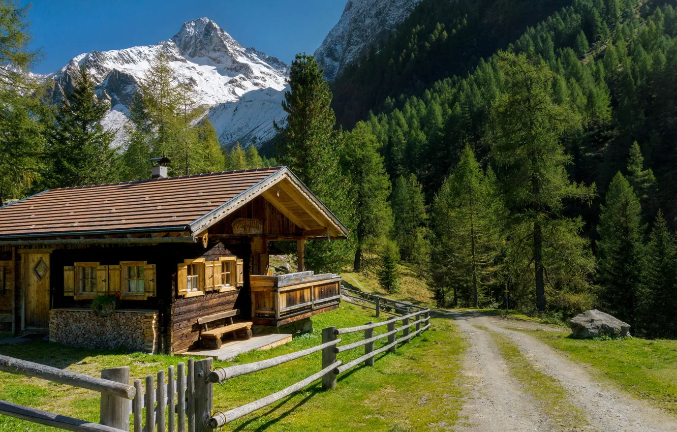 Фото обои дорога, лес, трава, снег, деревья, пейзаж, горы, природа
