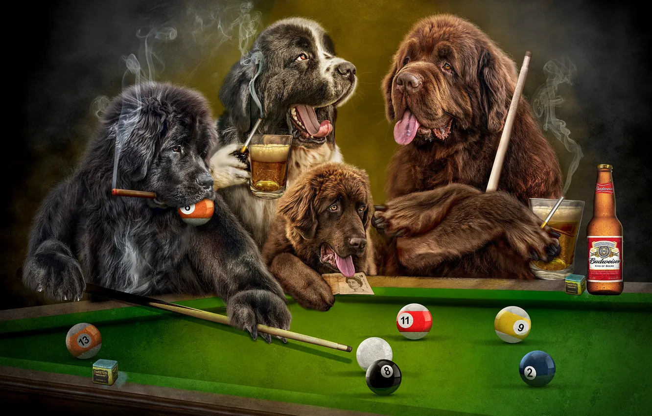 Фото обои язык, собаки, взгляд, темный фон, рендеринг, стол, отдых, шары