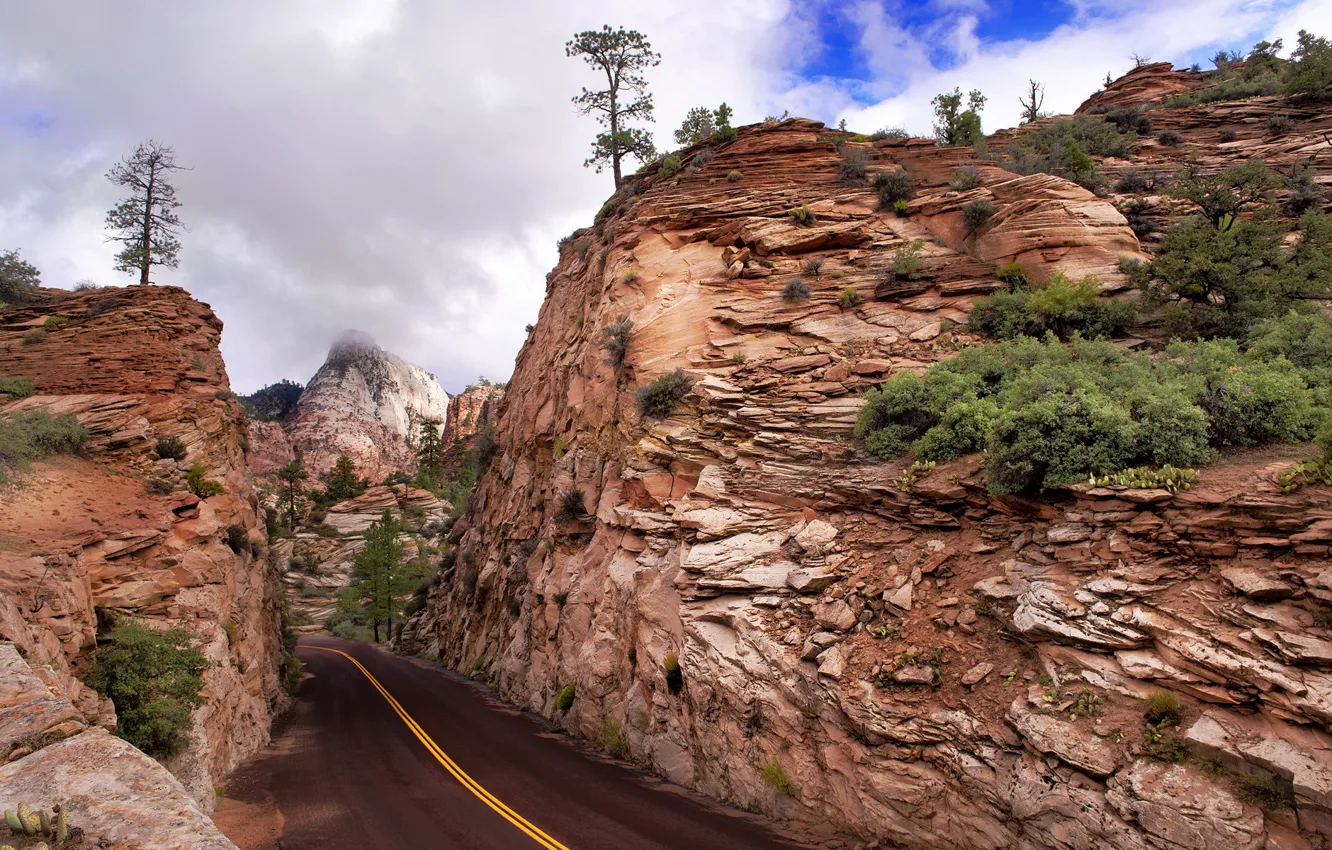 Фото обои дорога, горы, Zion National Park