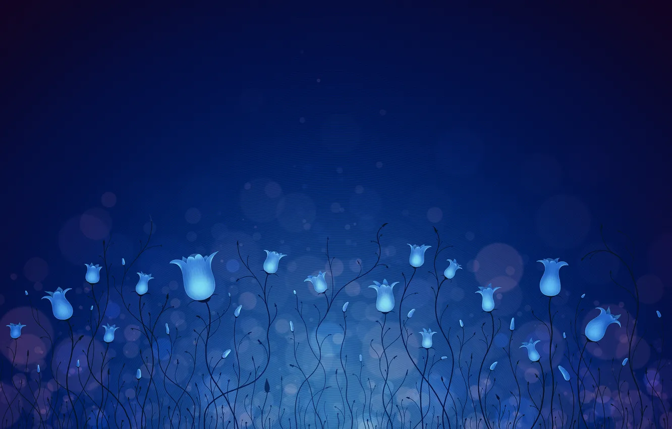 Фото обои цветы, синий, колокольчики