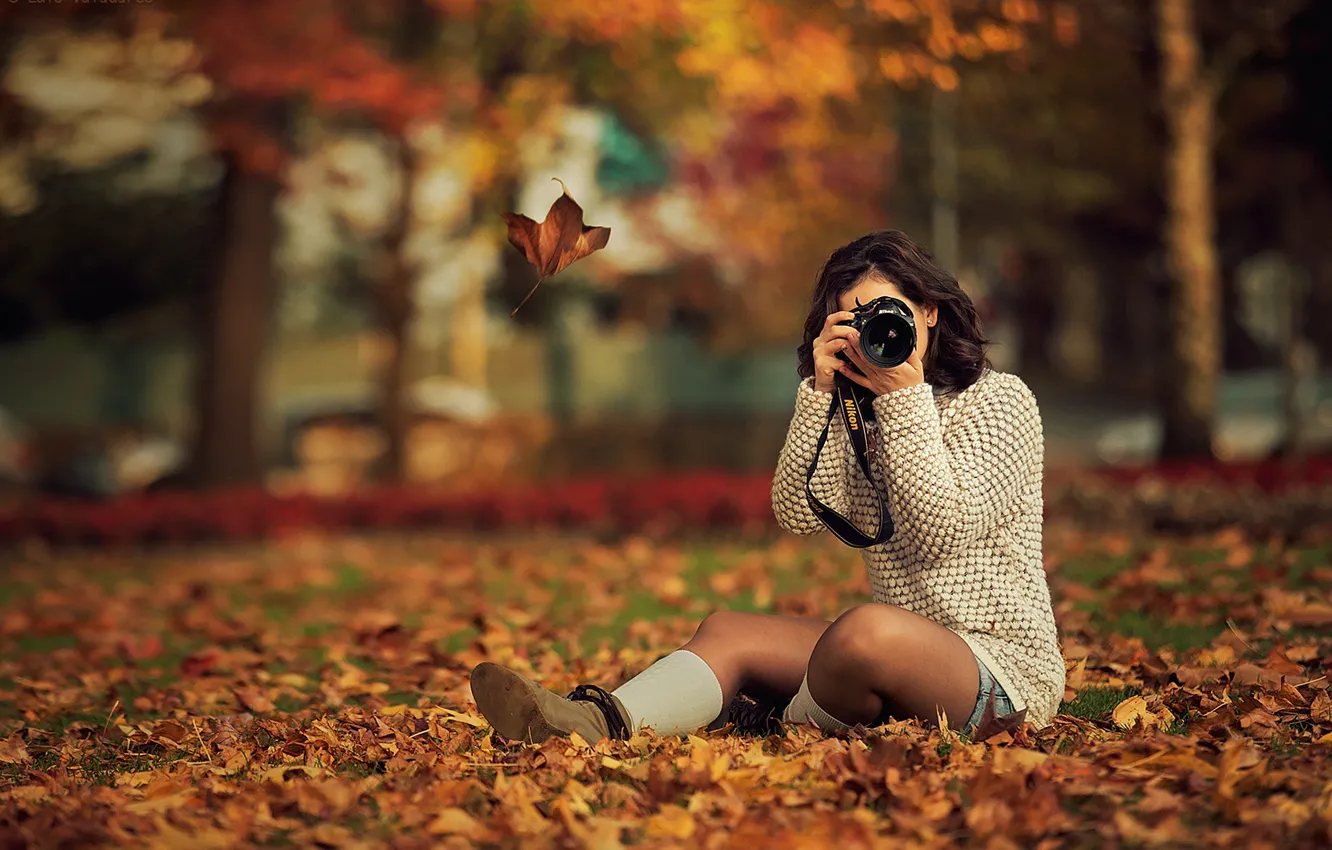 Фото обои осень, листья, девушка, деревья, парк, желтые, брюнетка, фотоаппарат