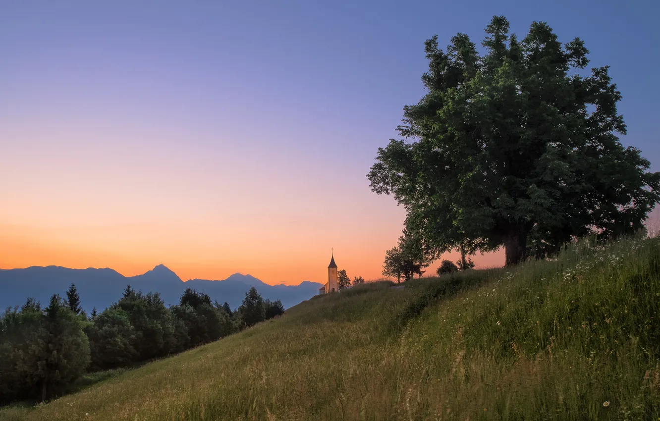 Фото обои grass, twilight, sunset, mountains, tree, hill, dusk, Slovenia