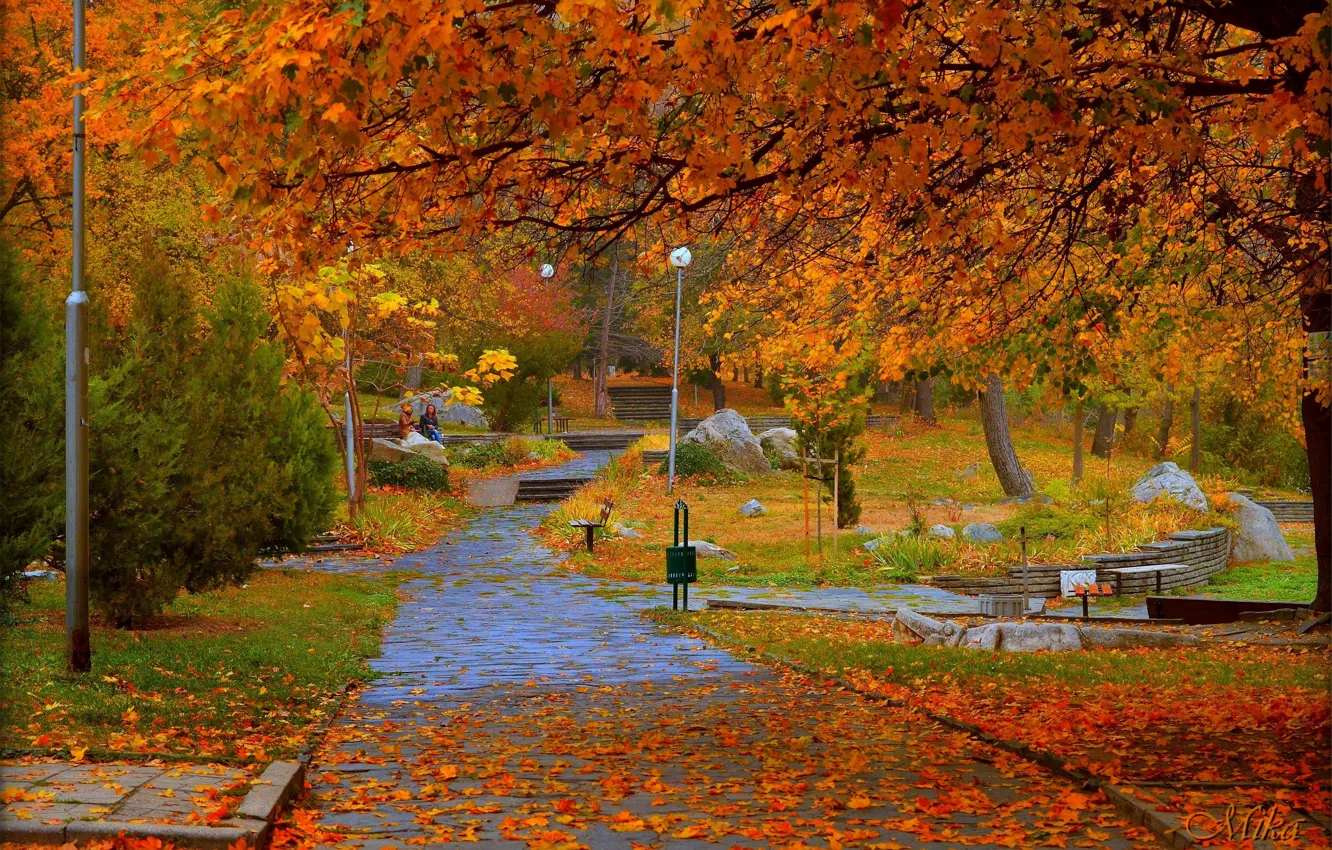 Фото обои Осень, Деревья, Фонари, Парк, Fall, Листва, Park, Autumn