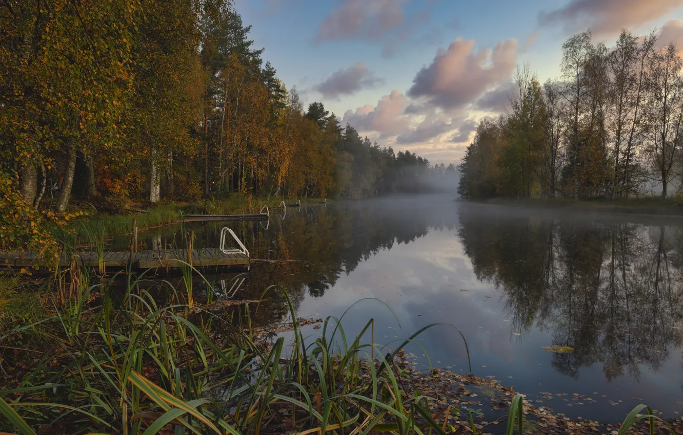 Фото обои осень, лес, пейзаж, природа, туман, река, мостки