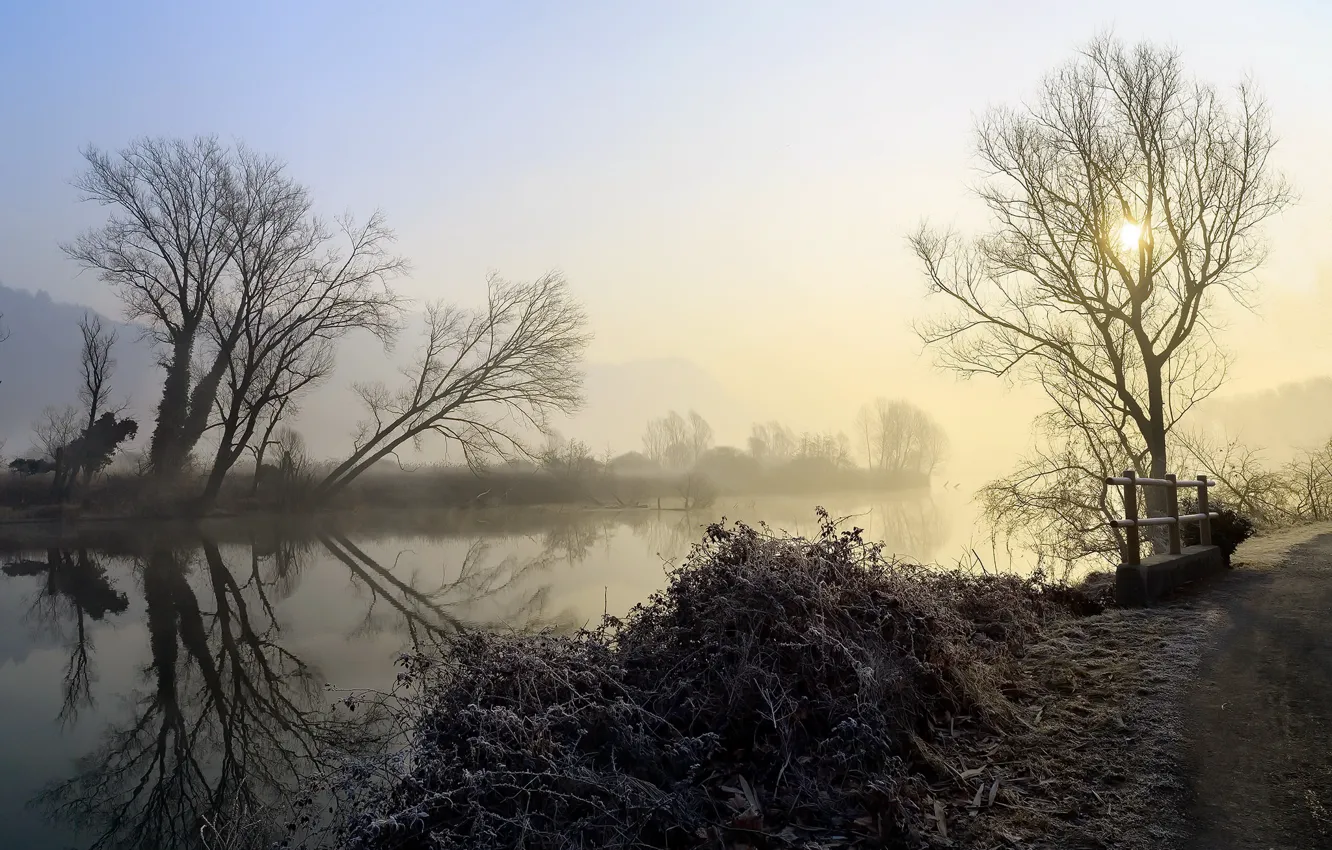 Фото обои иней, природа, туман, река, утро