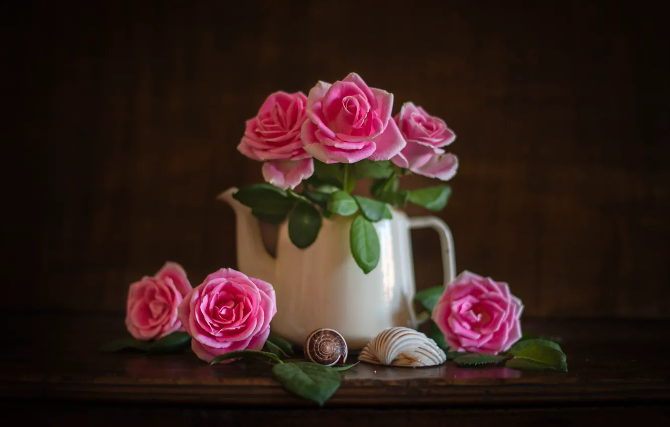 Фото обои стиль, фон, розы, чайник, ракушки, розовые, натюрморт