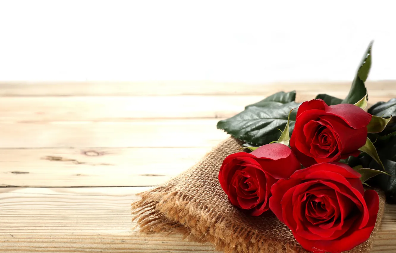 Фото обои розы, бутоны, салфетка