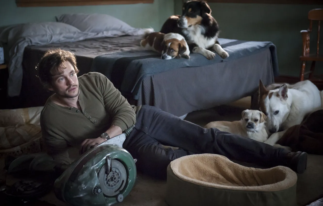 Фото обои собаки, кровать, актер, сериал, мотор, персонаж, Hannibal, Ганнибал