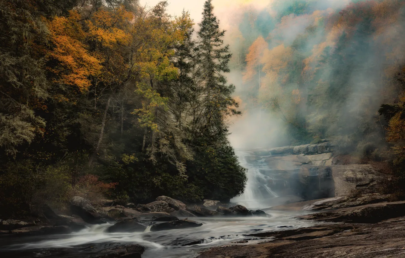 Фото обои осень, пейзаж, природа, туман, красота