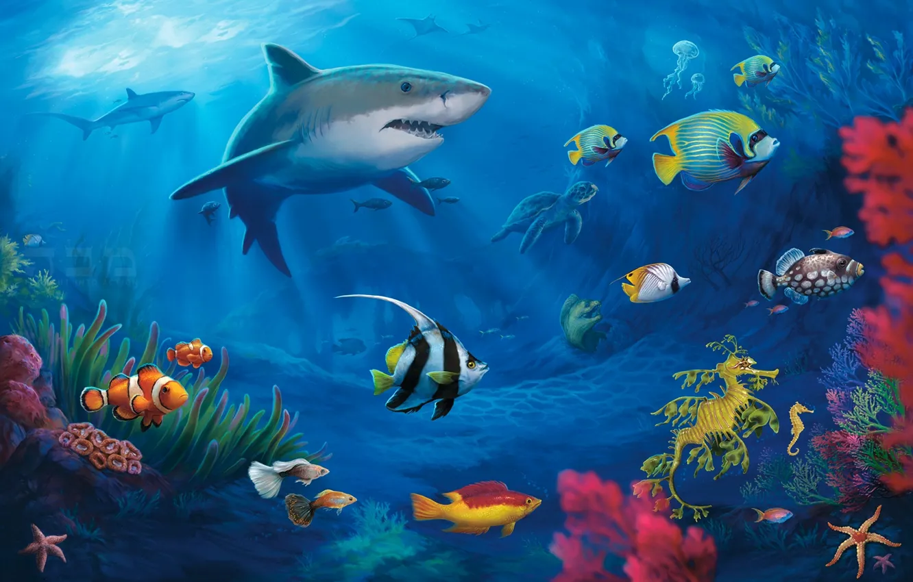 Фото обои рыбки, черепаха, кораллы, акулы, подводный мир, мурена