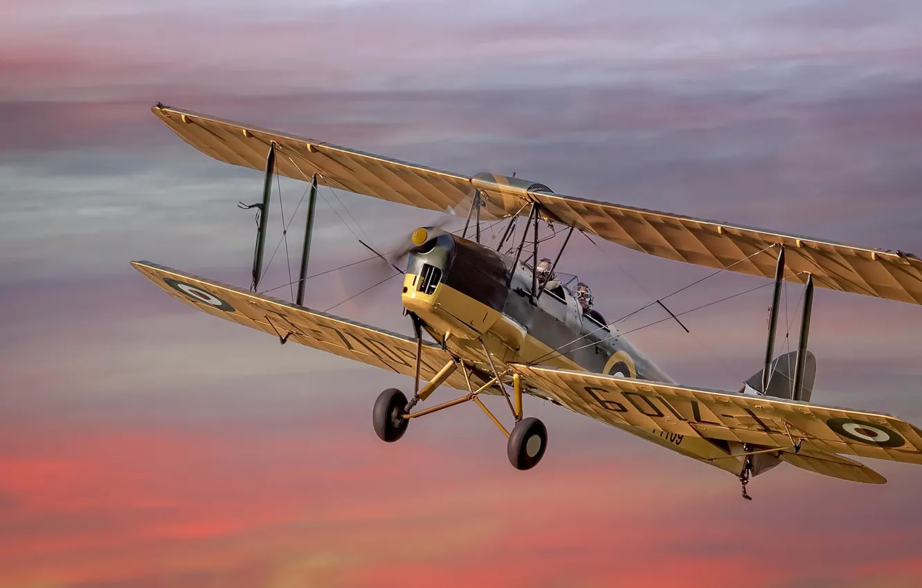 Фото обои Tiger Moth, Aicraft, Dream Flight