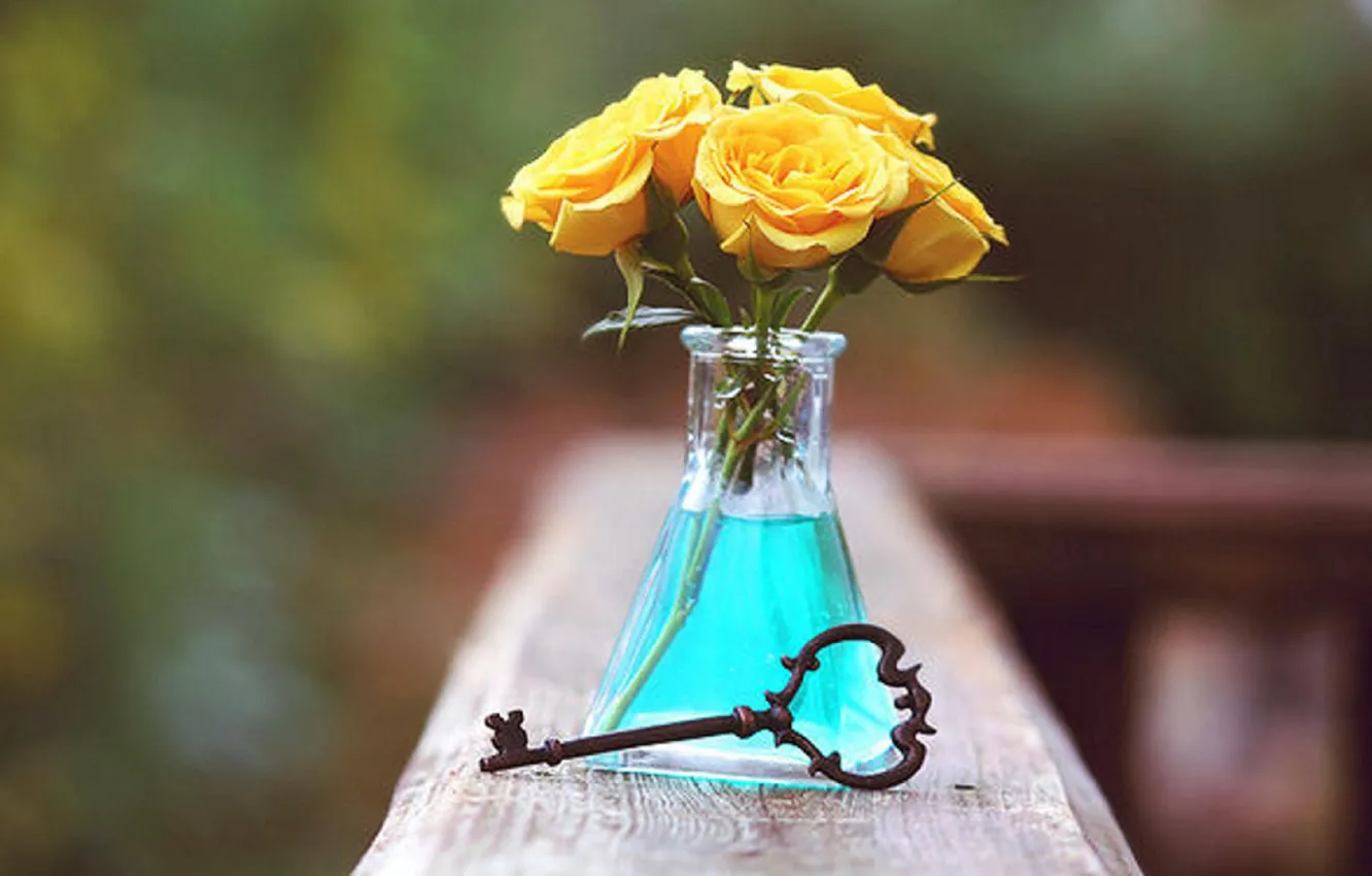 Фото обои key, roses, bottle, yellow roses