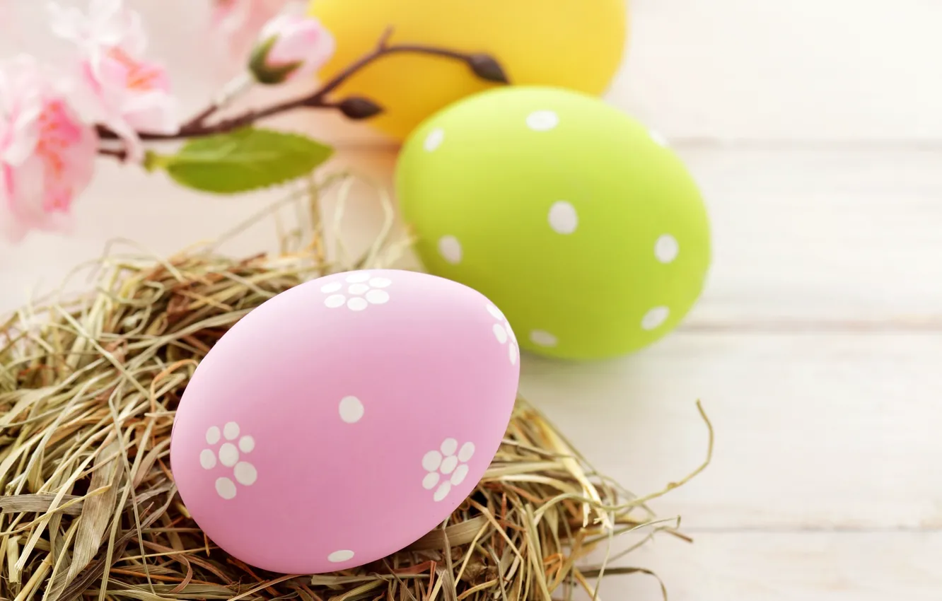 Фото обои праздник, яйца, весна, желтые, зеленые, Пасха, гнездо, розовые