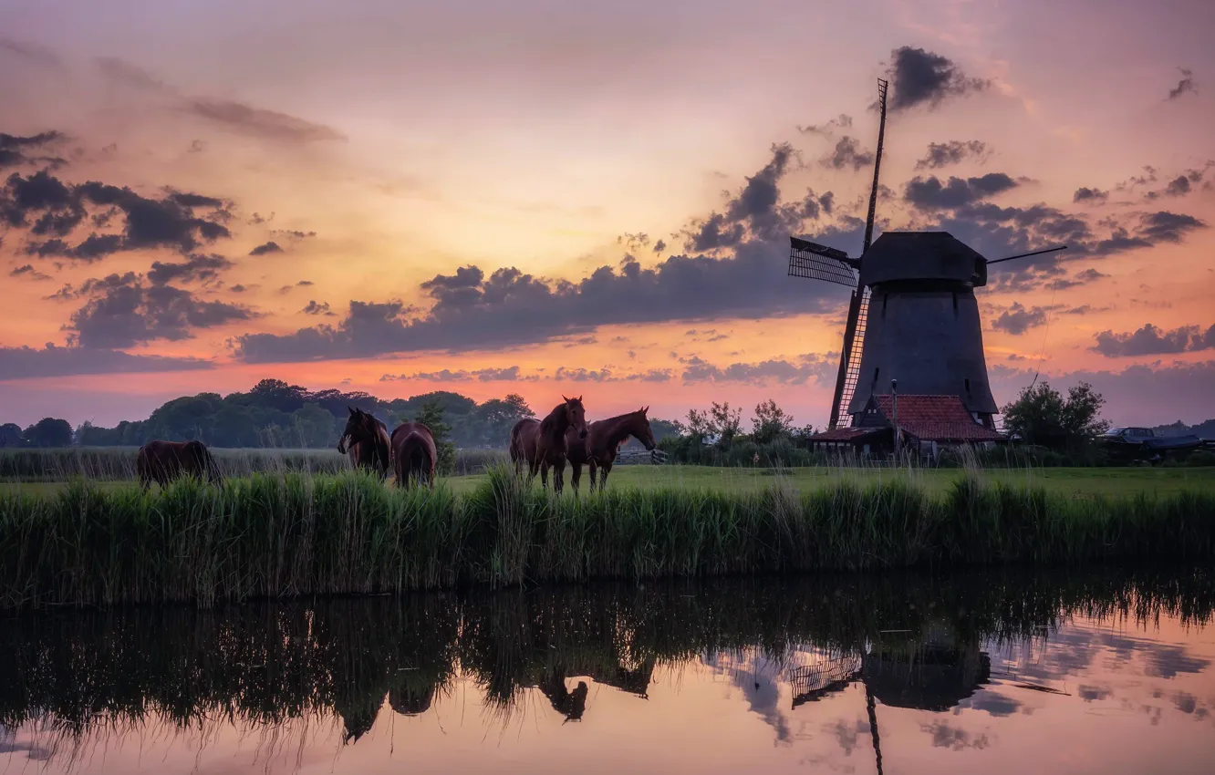 Фото обои Holland, Morning, mist, Traditional Windmill
