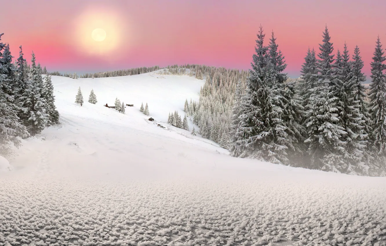Фото обои Солнце, Природа, Зима, Снег, Ель, Украина, Карпаты, Закарпатье