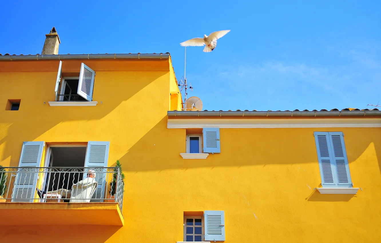Фото обои небо, дом, птица, окна, голубь, балкон