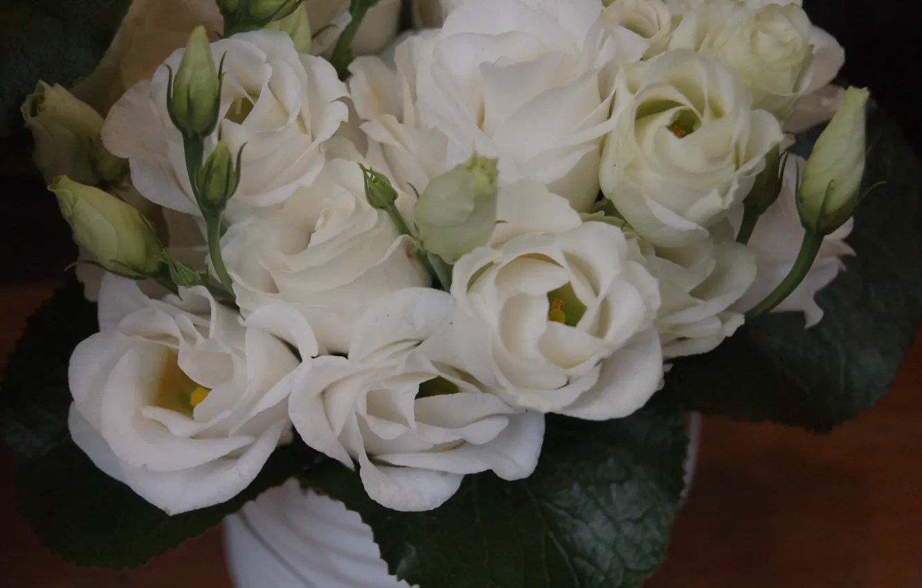 Фото обои розы, букет, ваза, белые, бутоны