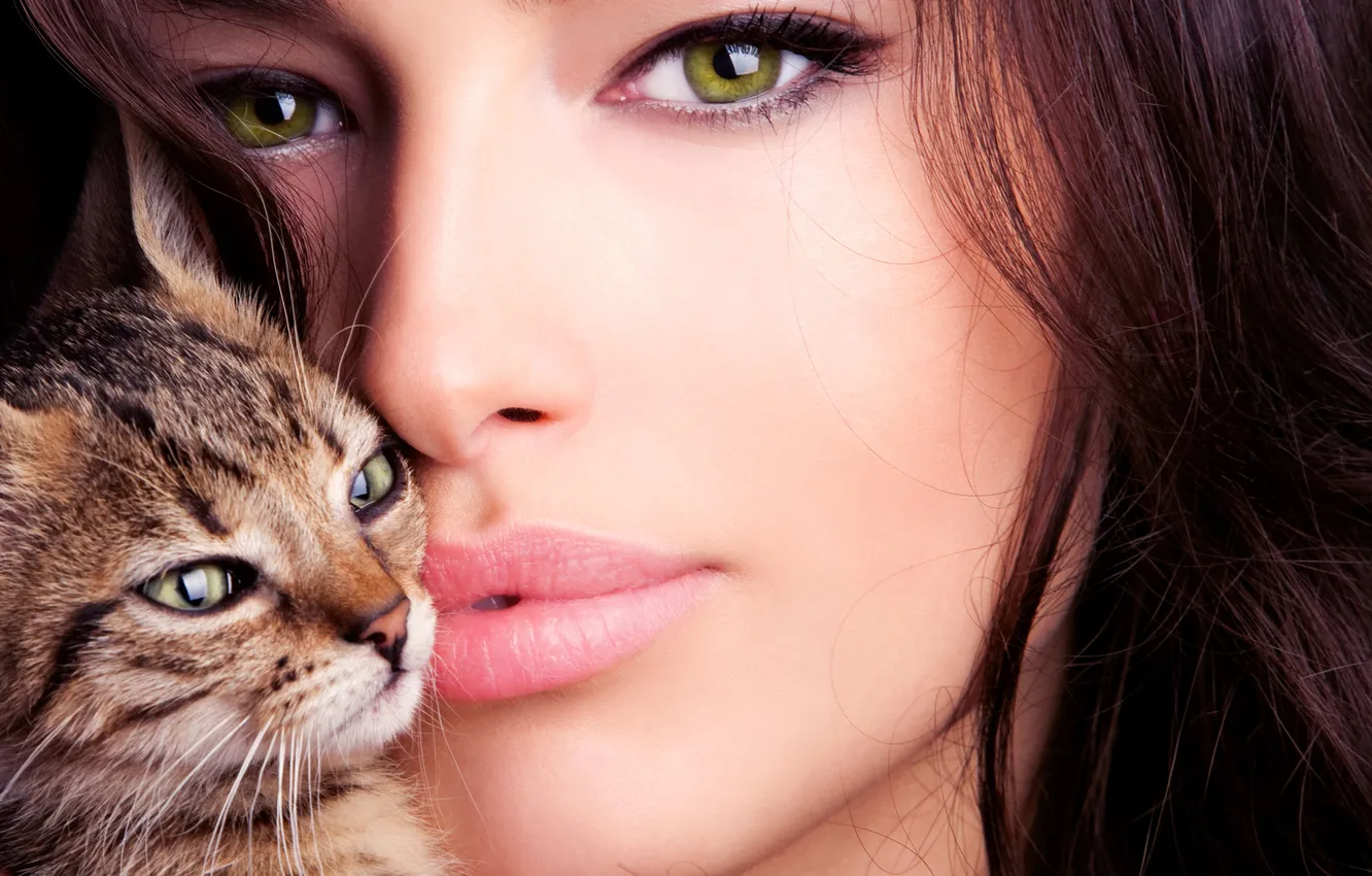 Фото обои кошка, взгляд, девушка, зеленоглазая