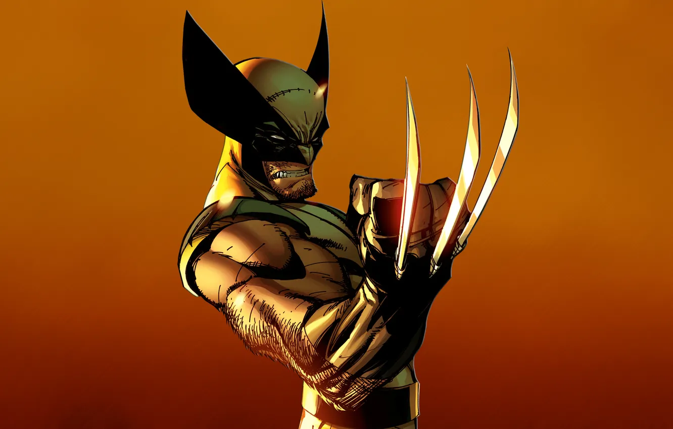 Фото обои злость, Росомаха, Логан, люди икс, Wolverine, Marvel, x-men, Comics