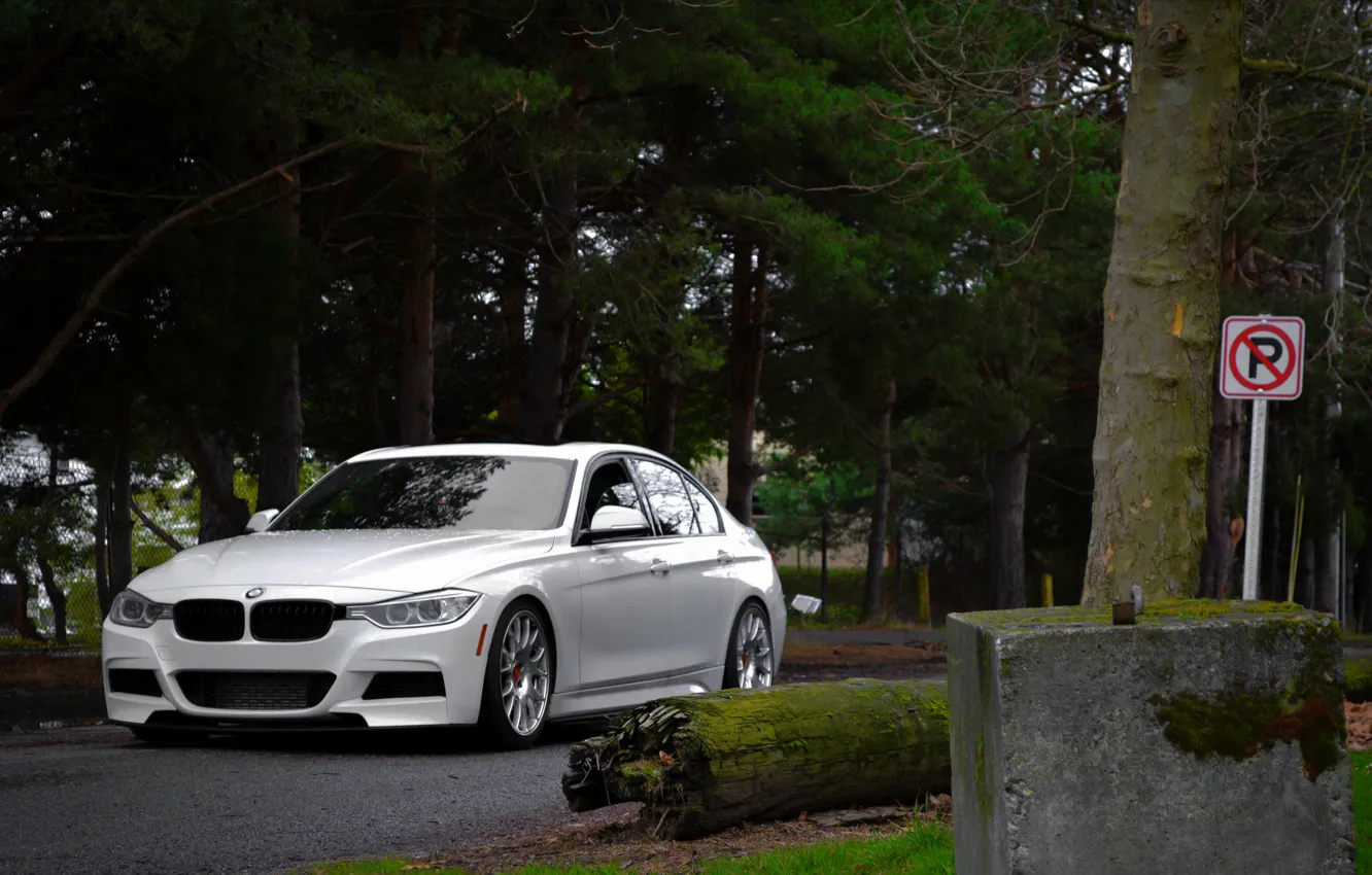 Фото обои BMW, white, front, F30