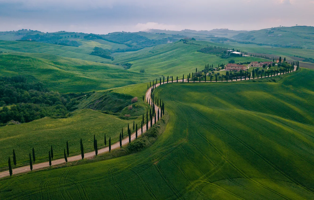Фото обои дорога, зелень, поле, лето, холмы, склоны, поля, Италия