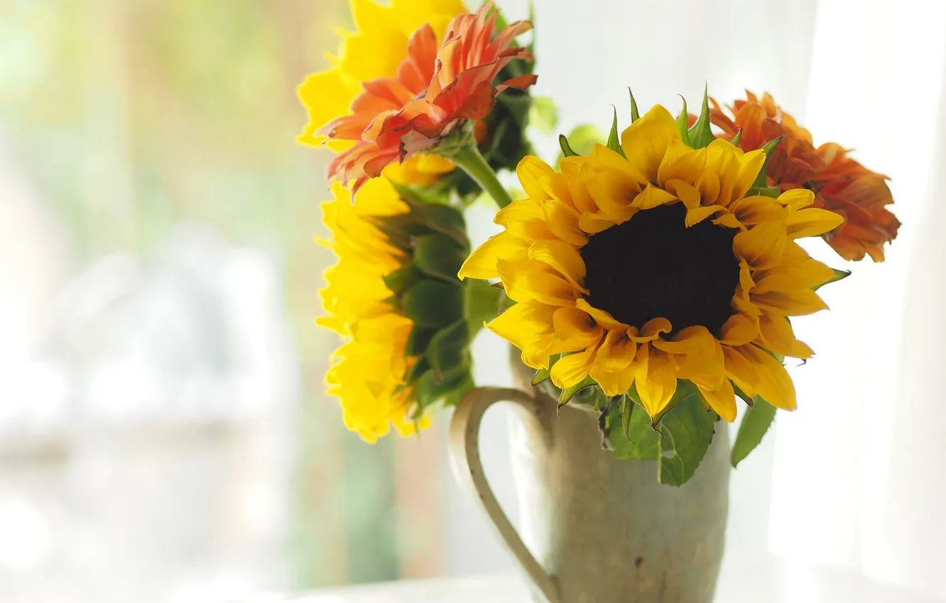Фото обои подсолнухи, цветы, букет, ваза, flowers, vase, bouquet, sunflowers