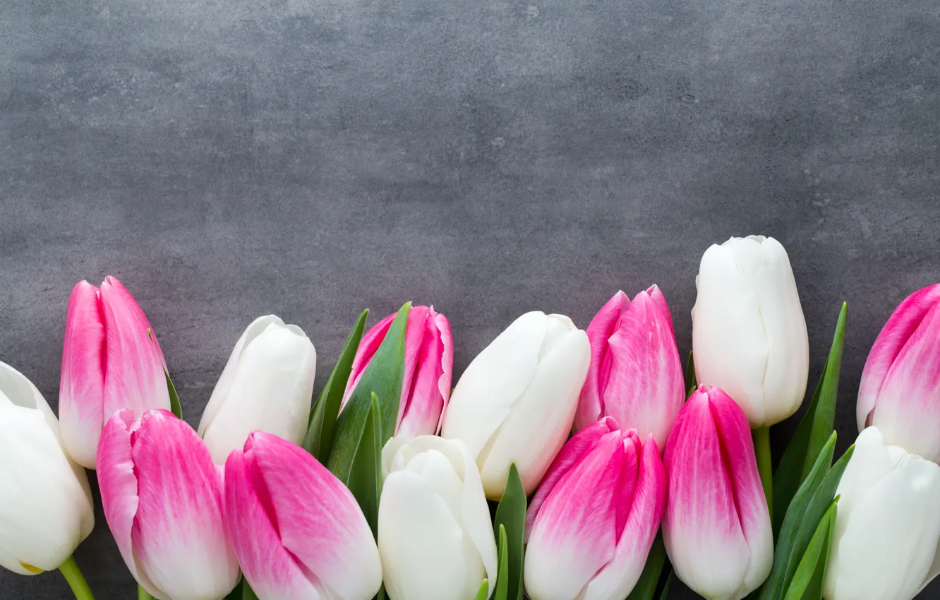 Фото обои цветы, букет, тюльпаны, розовые, white, белые, fresh, pink