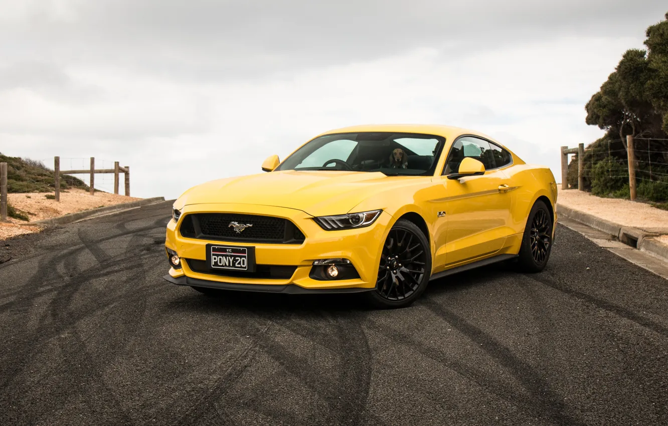 Фото обои желтый, Mustang, Ford, мустанг, форд