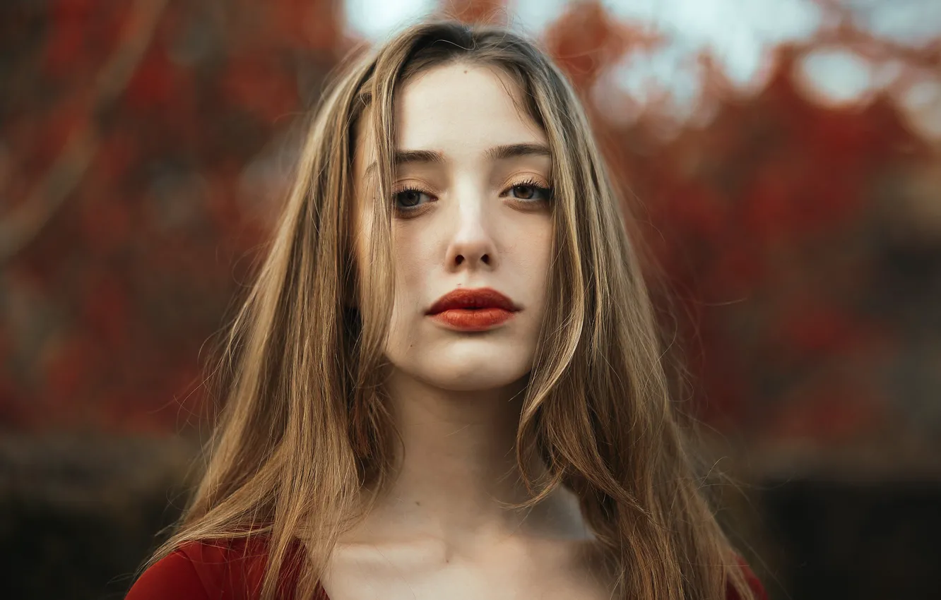 Фото обои девушка, портрет, Helena