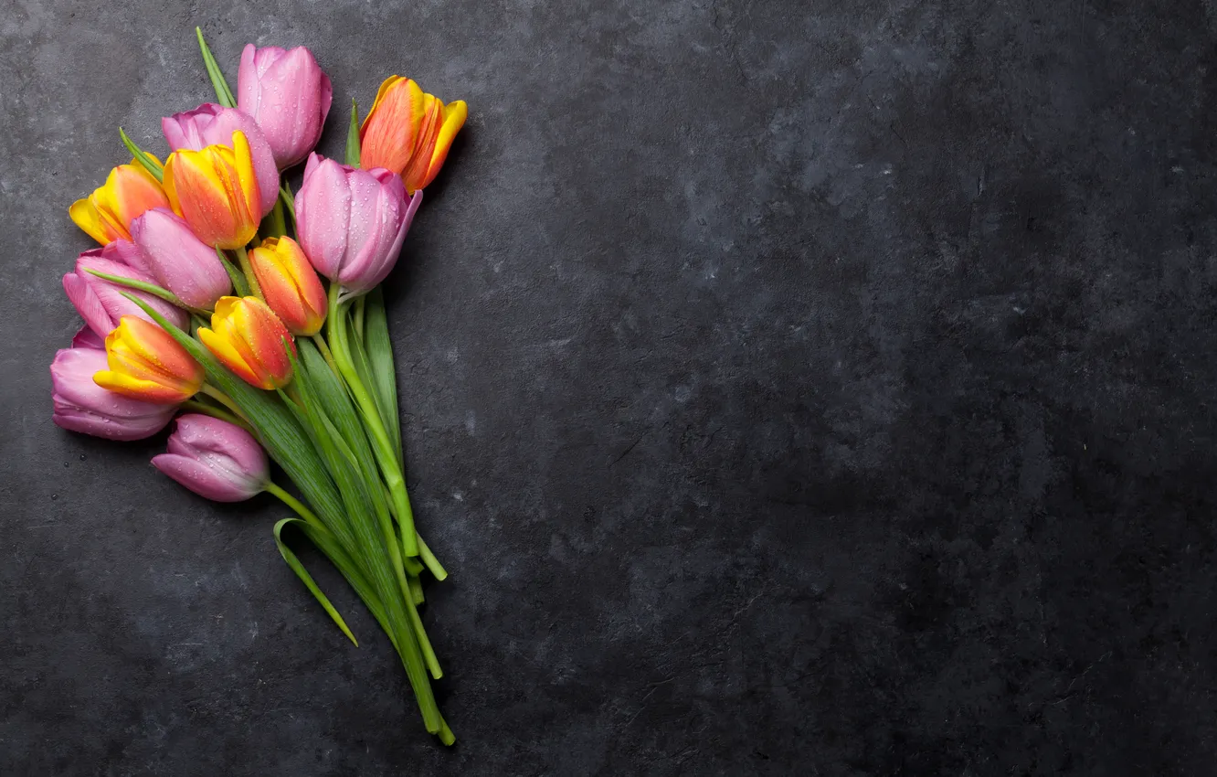 Фото обои цветы, букет, colorful, тюльпаны, pink, flowers, tulips, spring