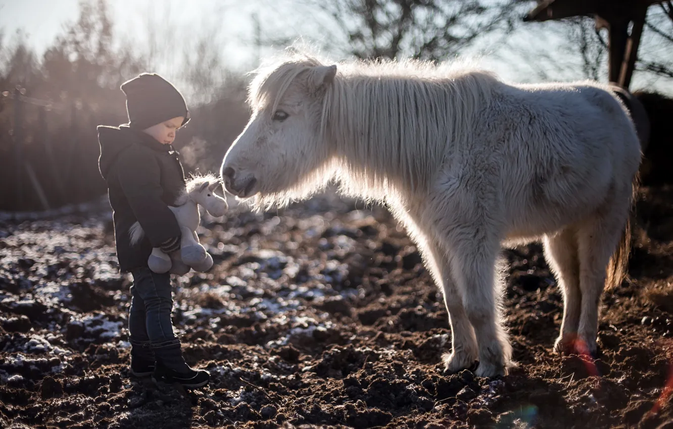 Фото обои конь, игрушка, мальчик